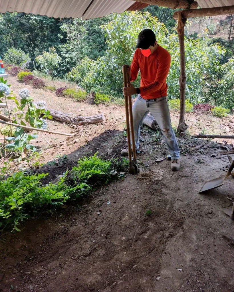 Construccion Jardin Verdis