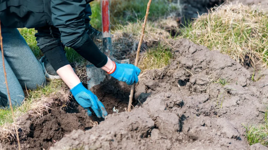 como tomar muestra de tierra analisis de suelo paso a paso