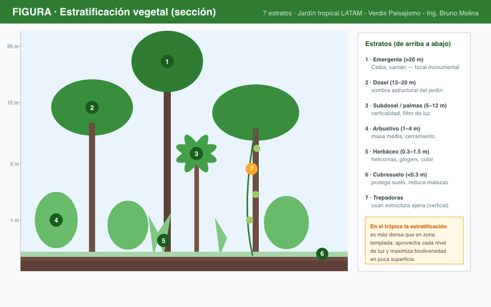 Estrato de plantas en jardines Manual de paisajismo Verdis