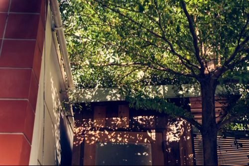 Cuanto cuesta un jardín en 2026