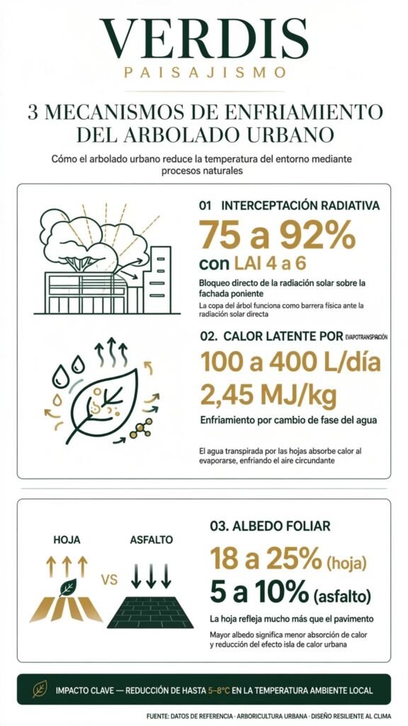 Reducción de temperatura por vegetación