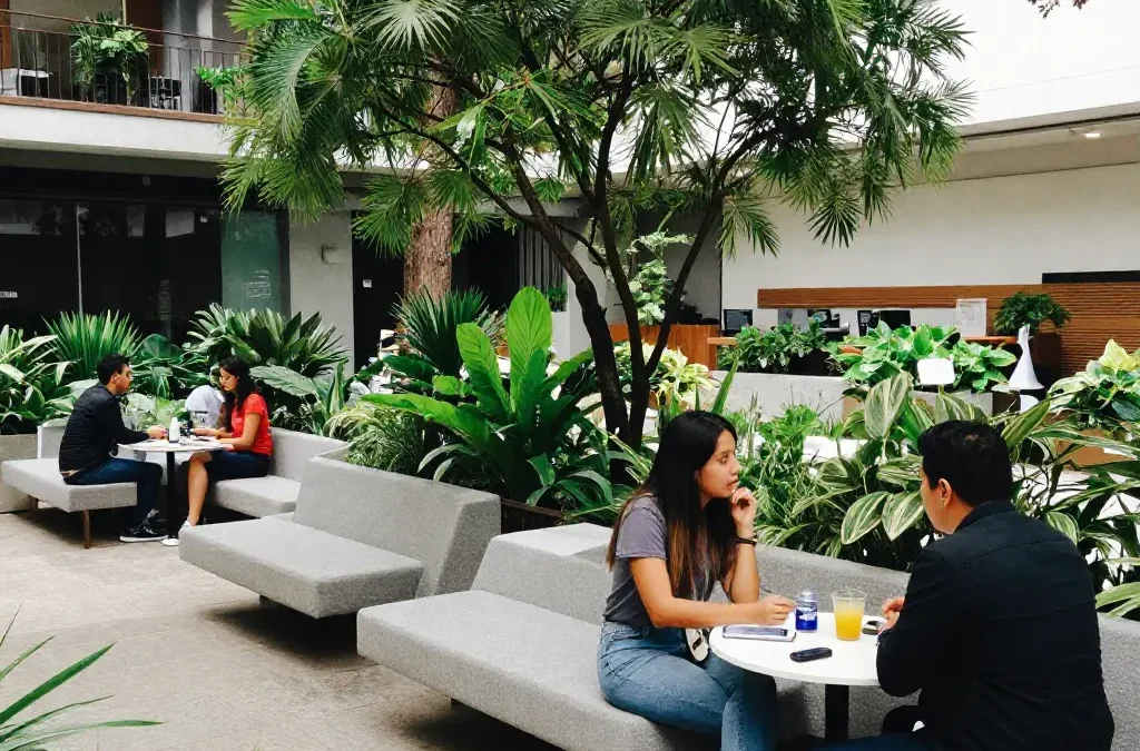 Propuesta Técnica Completa de Paisajismo: De la Condición Real al Jardín Ideal